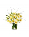 The First Blooms Bouquet The First Blooms Bouquet